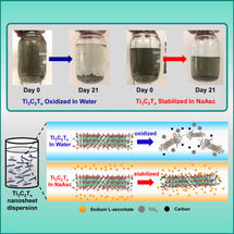 Vitamin C is key to protection of exciting new nanomaterial