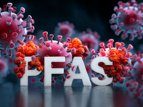 PFAS influence cellular immune response to coronavirus