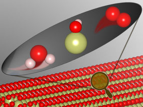 New Dynamics Discovered in Heterogeneous Catalysis