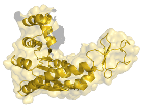 Artificial intelligence: Swarm learning decodes biomolecules